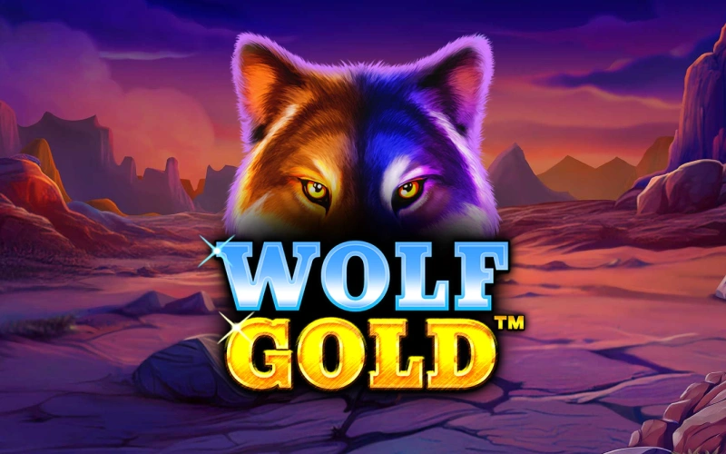 Win grote prijzen met de Wolf Gold slot van Pragmatic Play bij IgoBet.